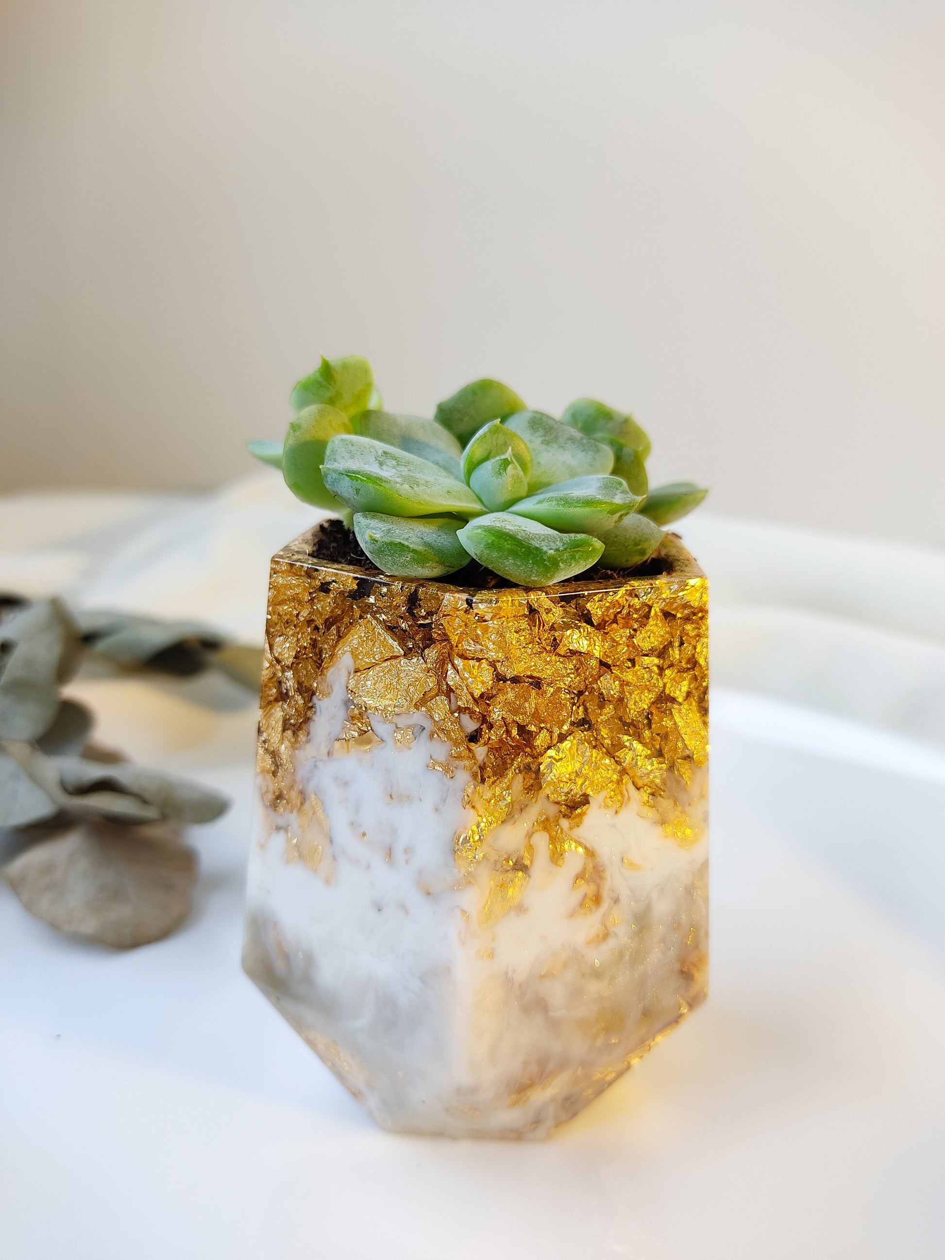 Vasinho hexagonal | Linha Fleur Gold